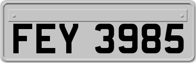 FEY3985