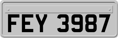 FEY3987