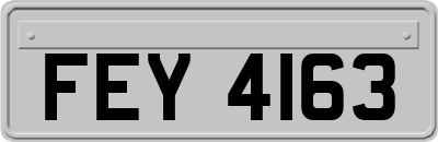 FEY4163