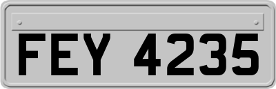 FEY4235