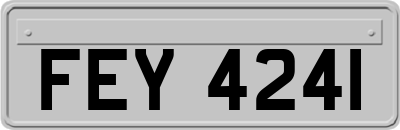 FEY4241