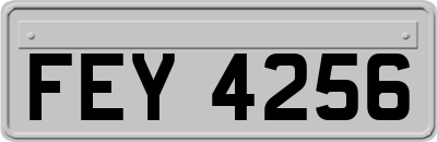FEY4256
