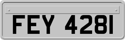 FEY4281
