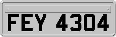 FEY4304