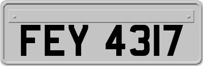 FEY4317