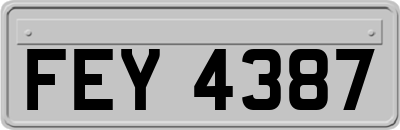 FEY4387
