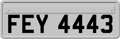 FEY4443