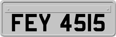 FEY4515