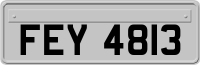 FEY4813