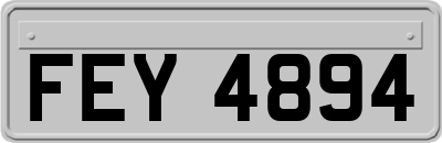FEY4894