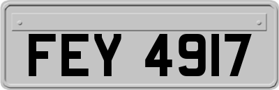 FEY4917