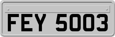 FEY5003