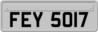 FEY5017