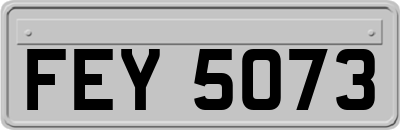 FEY5073
