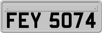 FEY5074