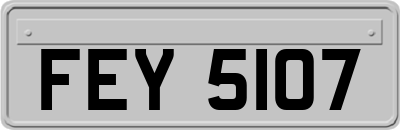 FEY5107