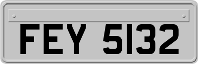 FEY5132