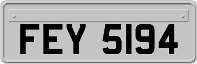 FEY5194