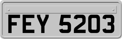 FEY5203