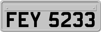 FEY5233
