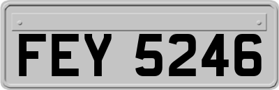 FEY5246