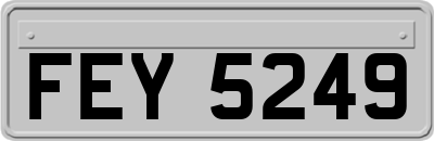 FEY5249
