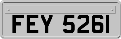 FEY5261