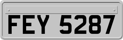 FEY5287