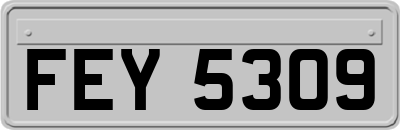 FEY5309