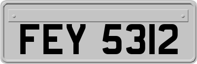 FEY5312