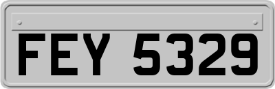 FEY5329
