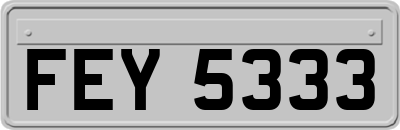 FEY5333