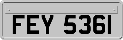 FEY5361