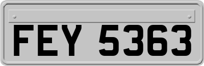 FEY5363