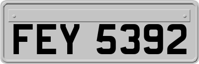 FEY5392