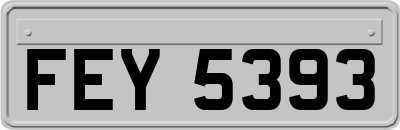 FEY5393