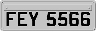 FEY5566