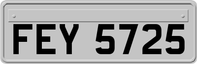 FEY5725