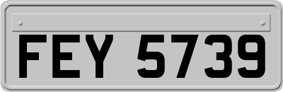 FEY5739