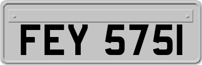 FEY5751