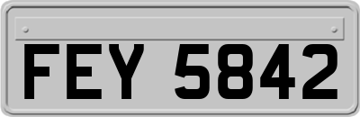 FEY5842