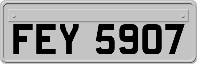 FEY5907