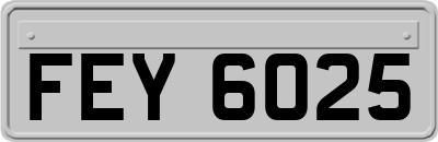 FEY6025