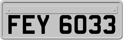 FEY6033