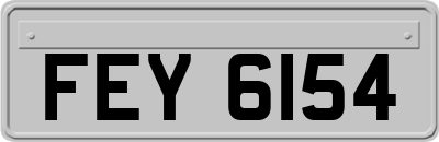 FEY6154