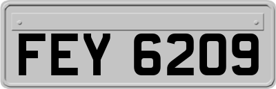 FEY6209