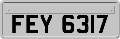 FEY6317
