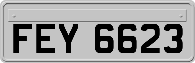 FEY6623