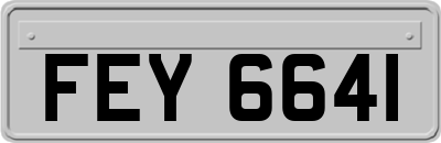 FEY6641