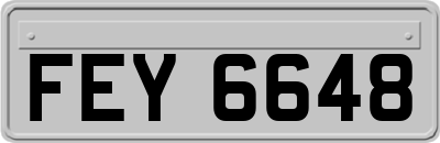 FEY6648